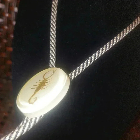 Real Scorpion Bolo Tie Acrylic Lucite Round Black White Cord Western - Picture 5 of 7